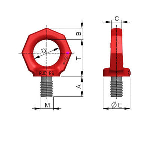 Eye Bolt RS metric distinctive in comparison to the conventional DIN - eye bolts;  An octagonal shape symbolising quality class 8 