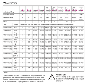 RUD VWBG Load Ring Bolted WLL overview